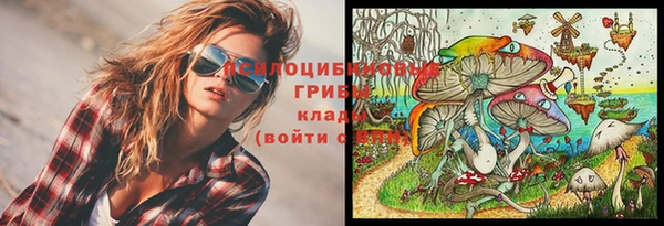 дживик Баксан