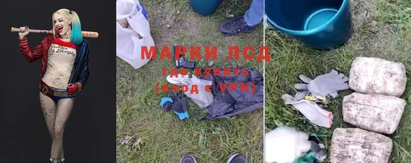 дживик Баксан